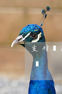 支付寶逾期了幾個月（支付寶逾期幾小時會咋樣）