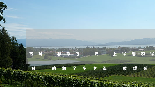 支付寶逾期了幾天還上以后可以馬上借嗎（支付寶逾期了多少天還能借嘛）