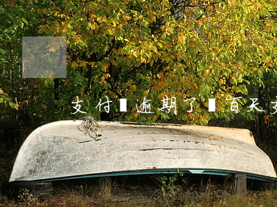 支付寶逾期了幾百天(支付寶逾期兩百多天)