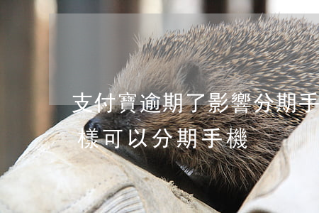 支付寶逾期了影響分期手機嗎（支付寶逾期怎樣可以分期手機）