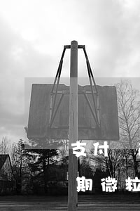 支付寶逾期了微信微粒貸可以用嗎(支付寶逾期微粒貸可以借嗎)
