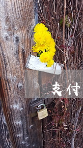 支付寶逾期了微信能用嗎