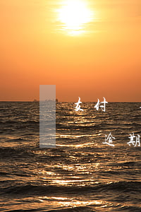 支付寶逾期了微信里面的錢會不會被扣（支付寶逾期會扣微信的錢嗎）