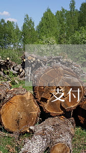 支付寶逾期了微粒貸也用不了嗎?（支付寶微粒貸產(chǎn)品逾期）