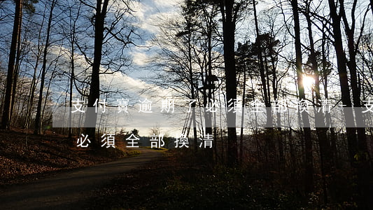 支付寶逾期了必須全部換清-支付寶逾期了必須全部換清