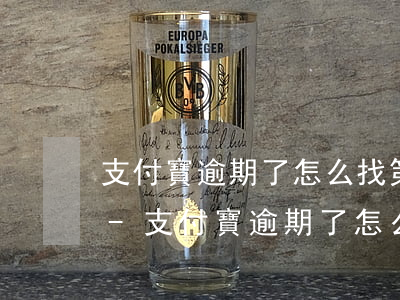 支付寶逾期了怎么找第三方協(xié)商-支付寶逾期了怎么找第三方協(xié)商還款