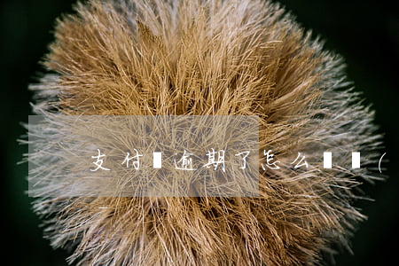 支付寶逾期了怎么辦會(huì)上征信嗎-