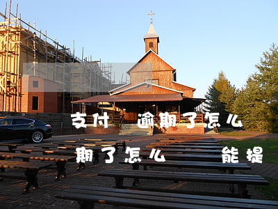 支付寶逾期了怎么辦還能提額嗎-支付寶逾期了怎么辦還能提額嗎知乎