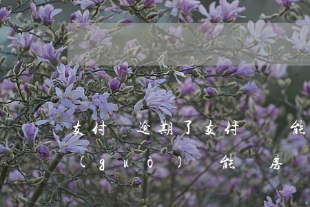 支付寶逾期了支付寶還能用嗎（支付寶逾期過(guò)還能買房嗎）