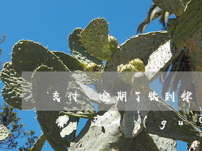 支付寶逾期了,收到律師函怎么辦（支付寶逾期律師函郵過(guò)來(lái)了）