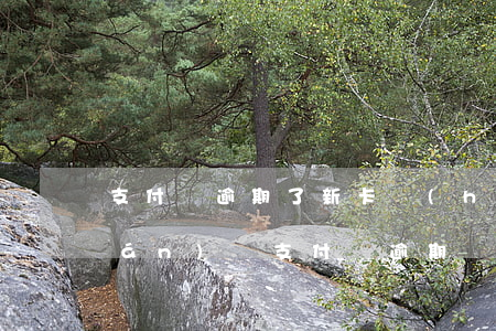 支付寶逾期了新卡會(huì)扣錢(qián)嗎(支付寶逾期會(huì)自動(dòng)扣卡里嗎)