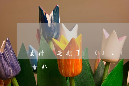 支付寶逾期了會(huì)不會(huì)有外訪