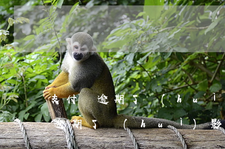 支付寶逾期了會(huì)影響什么(支付寶逾期了會(huì)影響什么)