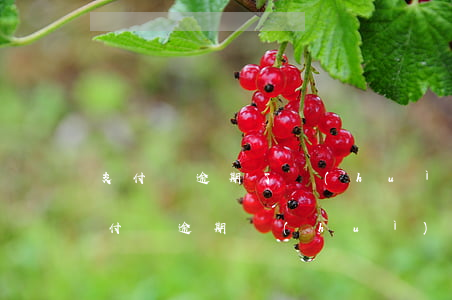 支付寶逾期了會(huì)影響微信嗎-支付寶逾期會(huì)有影響嗎