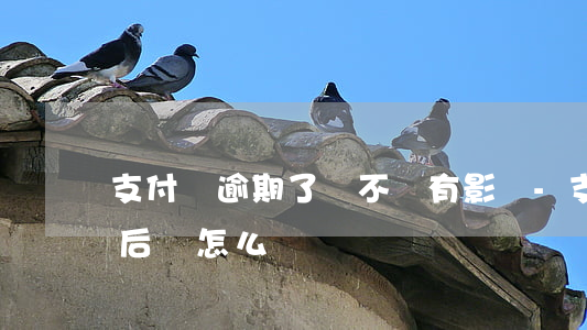 支付寶逾期了會不會有影響-支付寶逾期之后會怎么樣