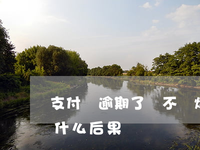 支付寶逾期了會不會爆炸-支付寶逾期會有什么后果