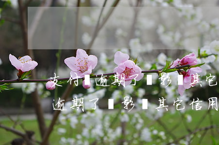支付寶逾期了會影響其它信用卡嗎-支付寶逾期了會影響其它信用卡嗎