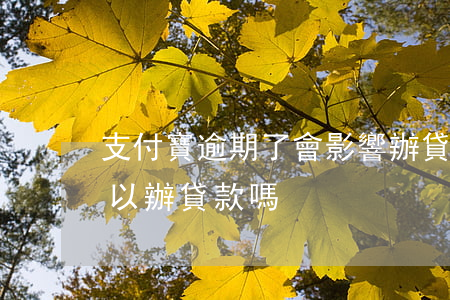 支付寶逾期了會影響辦貸款嗎(支付寶逾期可以辦貸款嗎)