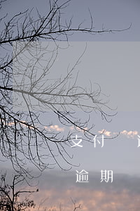 支付寶逾期了會自動劃扣銀行卡么-支付寶逾期銀行卡自動扣款