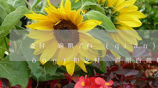 支付寶逾期了有錢(qián)就自動(dòng)扣 支付寶逾期直接把錢(qián)扣了