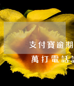 支付寶逾期了欠600(支付寶逾期了欠10萬打電話說要上門找父母)