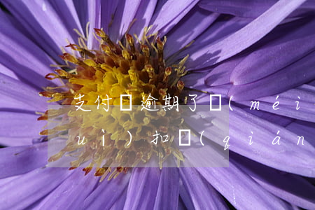支付寶逾期了沒(méi)綁定新卡會(huì)扣錢(qián)嗎-支付寶逾期了沒(méi)綁定新卡會(huì)扣錢(qián)嗎