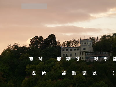 支付寶逾期了為何不能協(xié)商還款(支付寶逾期可以協(xié)商嗎?)