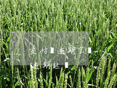 支付寶逾期了發(fā)的訴訟公告 支付寶逾期 起訴