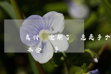 支付寶逾期了罰息是多少(支付寶逾期罰息比本金還多)