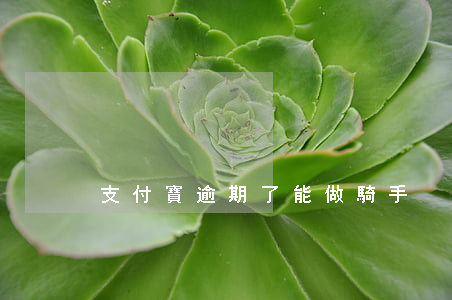支付寶逾期了能做騎手
