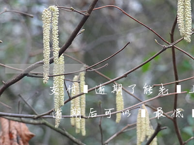 支付寶逾期了能先還上最低還款嗎-支付寶逾期后可以還最低還款嗎?