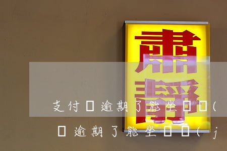 支付寶逾期了能坐飛機(jī)高鐵嗎（支付寶逾期了能坐飛機(jī)高鐵嗎）