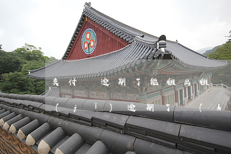 支付寶逾期了能租出租車嗎(在支付寶租手機(jī)逾期了會(huì)怎么樣)