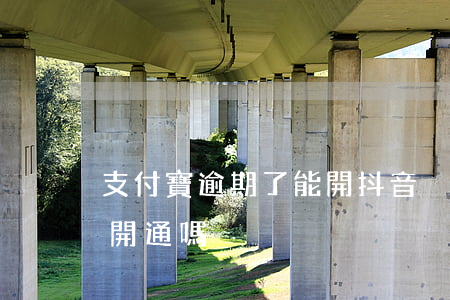支付寶逾期了能開抖音櫥窗嗎(抖音櫥窗還能開通嗎)