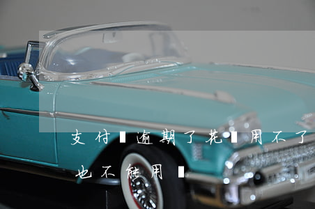 支付寶逾期了花唄用不了(花唄逾期了支付寶也不能用嗎)