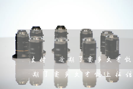 支付寶逾期了要多久才能上征信-支付寶逾期了要多久才能上征信呢