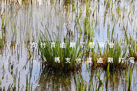 支付寶逾期了警察會(huì)上門(mén)嗎(支付寶逾期打電話(huà)說(shuō)要上門(mén)是不是真的)