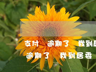 支付寶逾期了讓我到居委會開證明-支付寶逾期了讓我到居委會開證明怎么辦