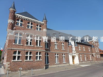 支付寶逾期了讓我都還了怎么還-