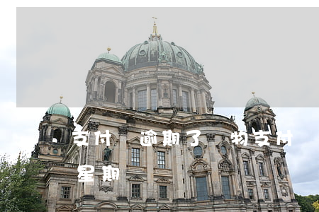 支付寶逾期了購物(支付寶逾期一個(gè)星期)