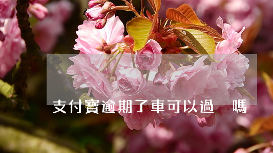 支付寶逾期了車可以過戶嗎