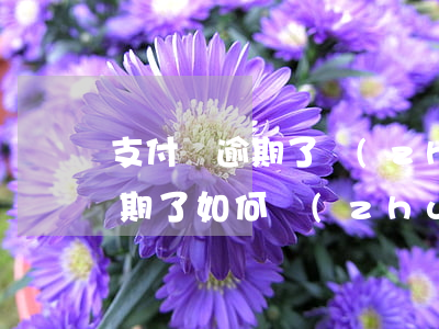 支付寶逾期了轉(zhuǎn)不了錢嗎（逾期了如何轉(zhuǎn)出支付寶）