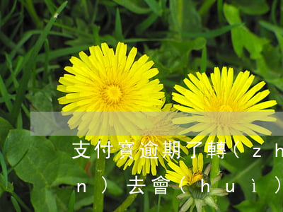 支付寶逾期了轉(zhuǎn)賬進(jìn)去會(huì)被扣掉嗎(如果支付寶逾期了然后轉(zhuǎn)賬進(jìn)去還會(huì)自動(dòng)扣錢(qián)嗎)