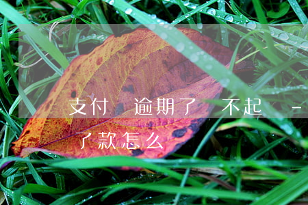 支付寶逾期了還不起錢-支付寶逾期了還不了款怎么辦
