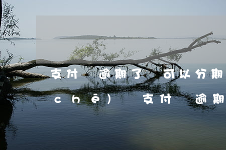 支付寶逾期了還可以分期買(mǎi)車(chē)嗎（支付寶逾期了還可以分期）