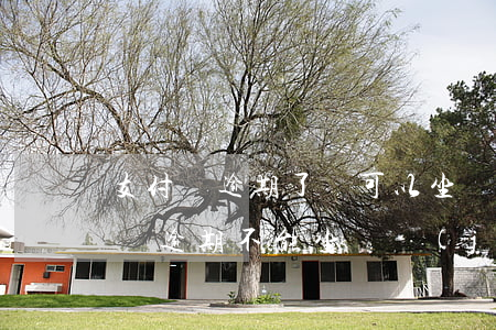 支付寶逾期了還可以坐飛機(jī)嗎 支付寶逾期不能坐飛機(jī)嗎