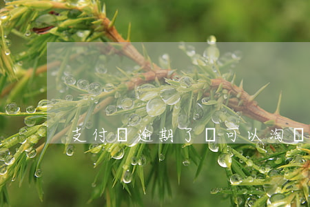支付寶逾期了還可以淘寶購物嗎-