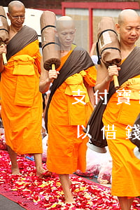 支付寶逾期了還有什么網(wǎng)貸可以借錢（支付寶逾期什么軟件可以借錢）