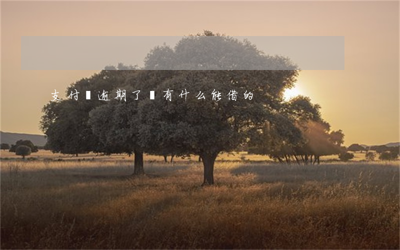 支付寶逾期了還有什么能借的