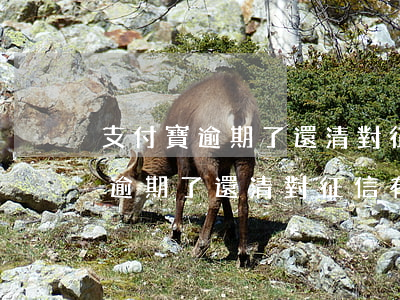 支付寶逾期了還清對征信有影響嗎-支付寶逾期了還清對征信有影響嗎知乎